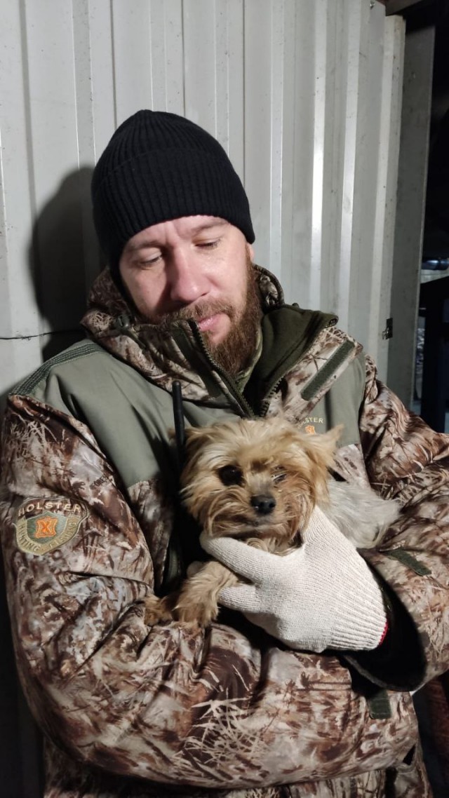 Йоркширского терьера обнаружили на мусорном заводе в Питере — за несколько минут до начала процесса измельчения
