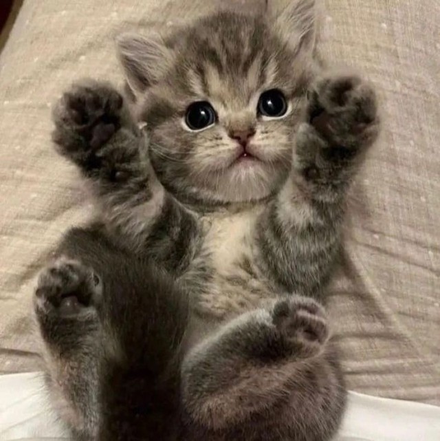 — А она что? А ты ей что? Ну ты даёшь, дорогая!