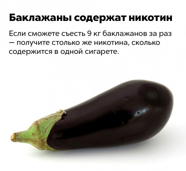 Никакие картинки и тексты