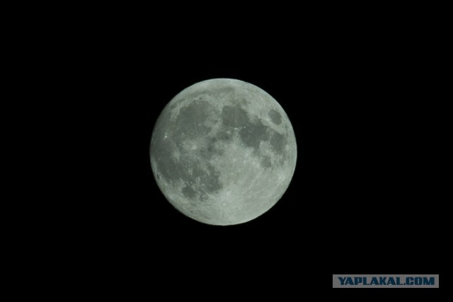 Просто фотка. Питер