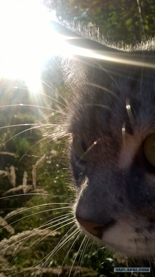 Да вы гоните на СССР...⁠⁠