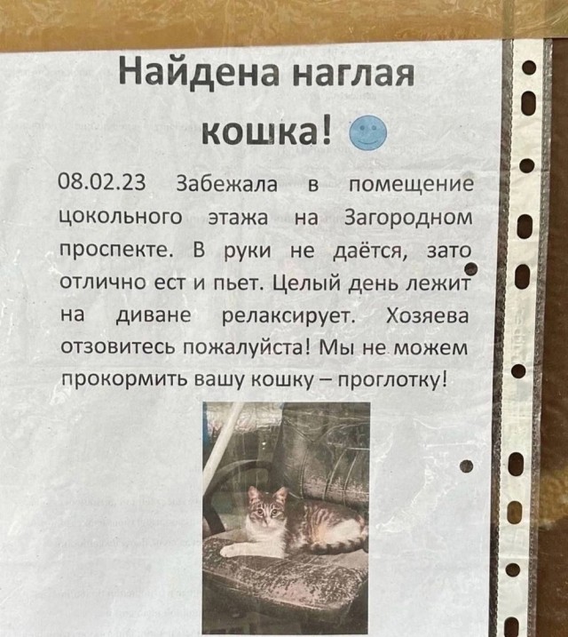 Боянчики. Некоторые даже актуальные