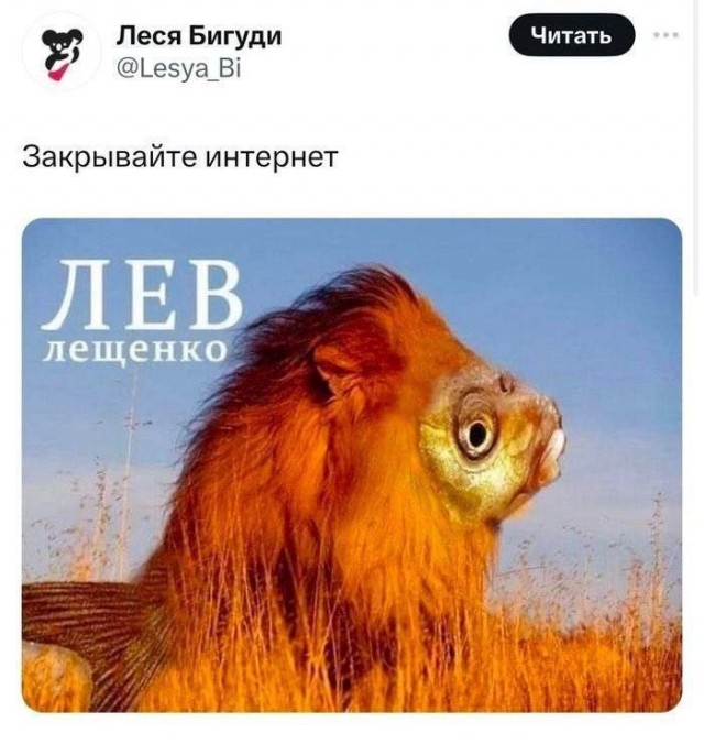 Веселые картинки к маленькой пятнице (25.09)