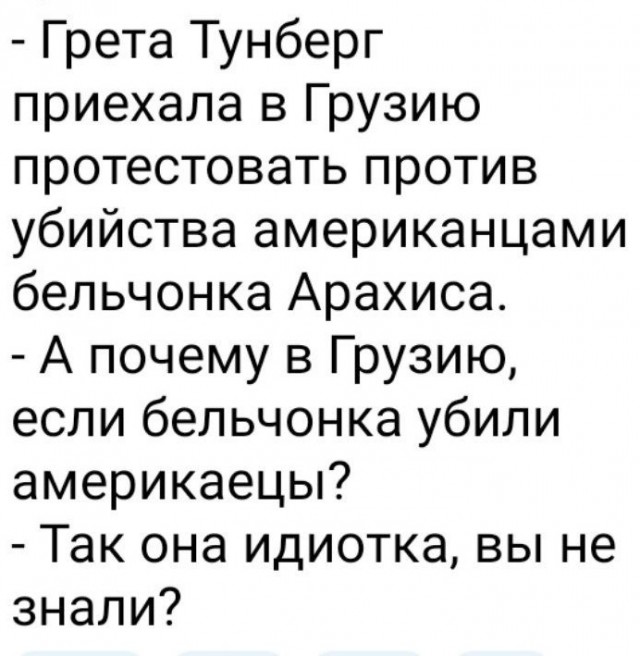 Грета Тунберг вместе с грузинской оппозицией протестует в Тбилиси против результатов парламентских выборов