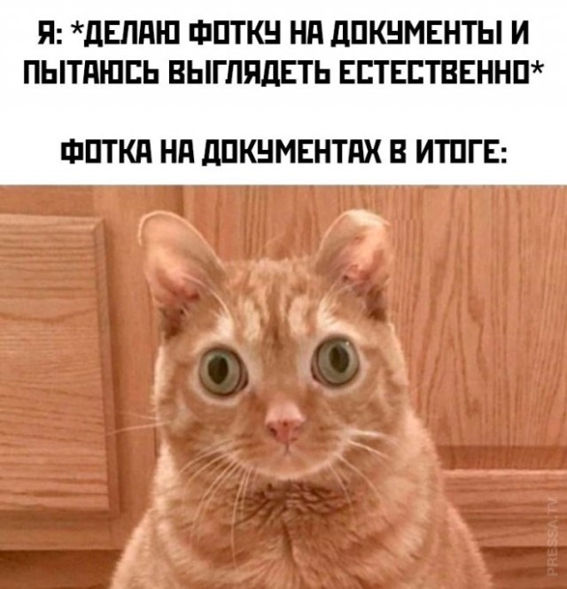 Веселые картинки в маленькую пятницу (19.02)