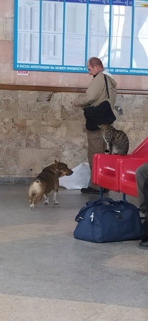 Трое из Простоквашино.