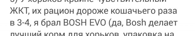 Что я узнал, пожив с хорьком
