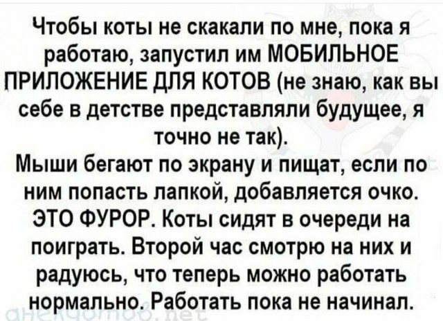 Веселые картинки в пятницу (11.04)
