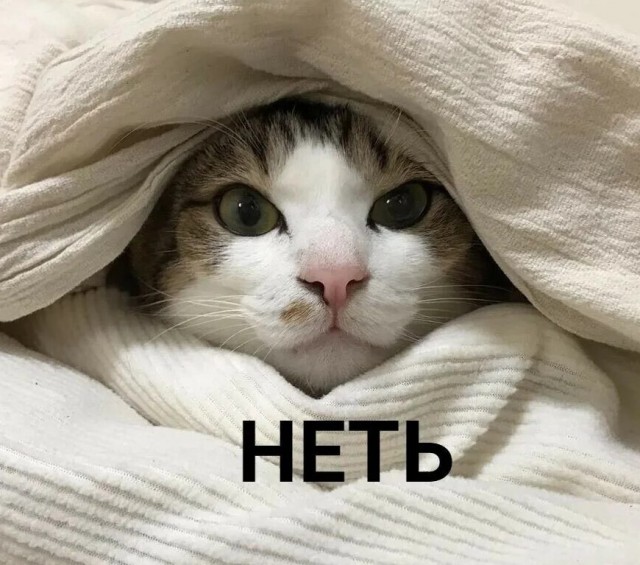 Уже совсем не стесняются такое говорить