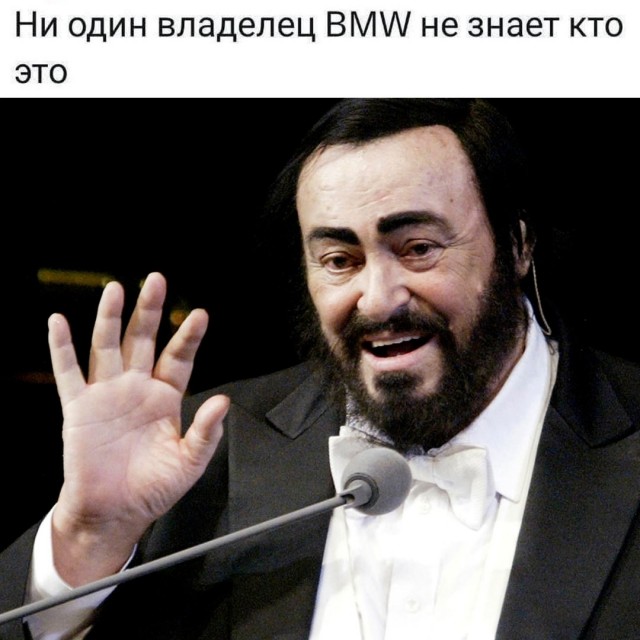 Весёлый полтишок 08.07.25