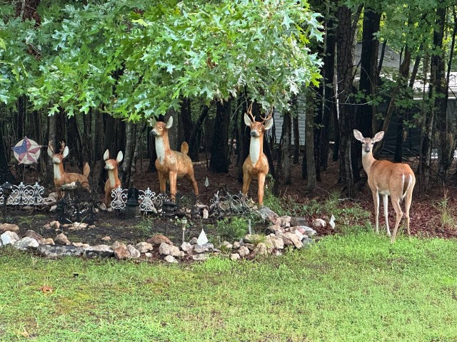 Тут только один настоящий
