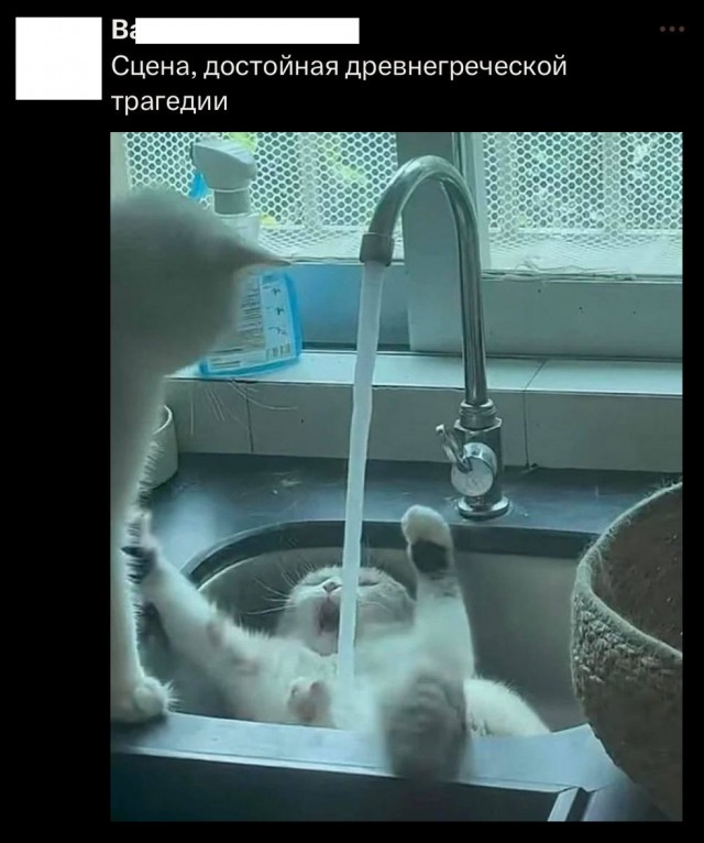 Так себе картинки 29.08.25