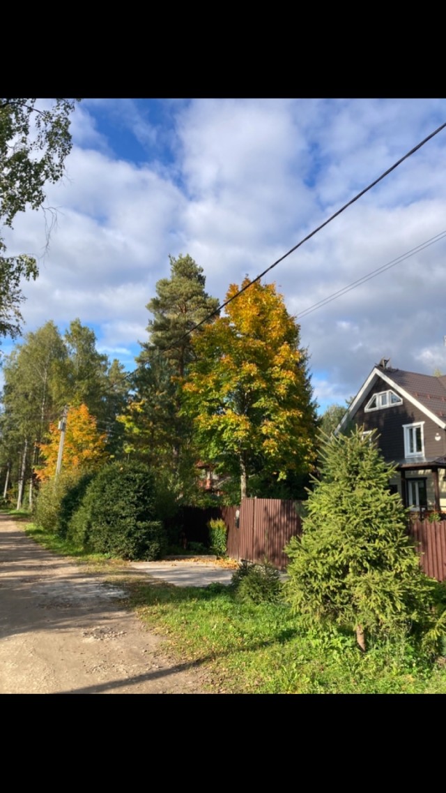 От осени до осени