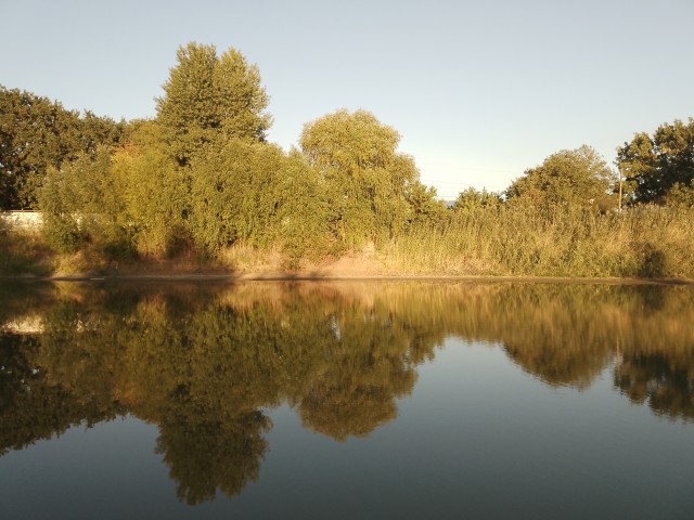 Лепота, мать её ити..