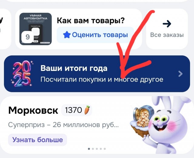 Итоги года с Озон.
