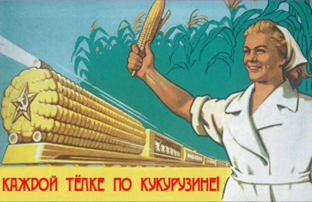Вот вам кукурузина