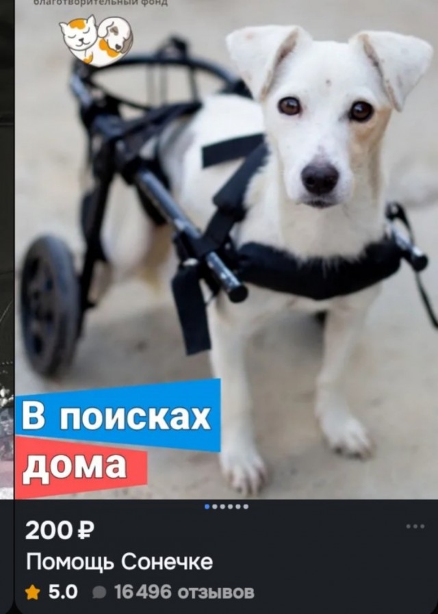 Как легко зарабатывать на Озоне