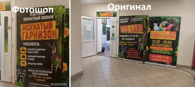 Картиночки, баянчики 23 мая