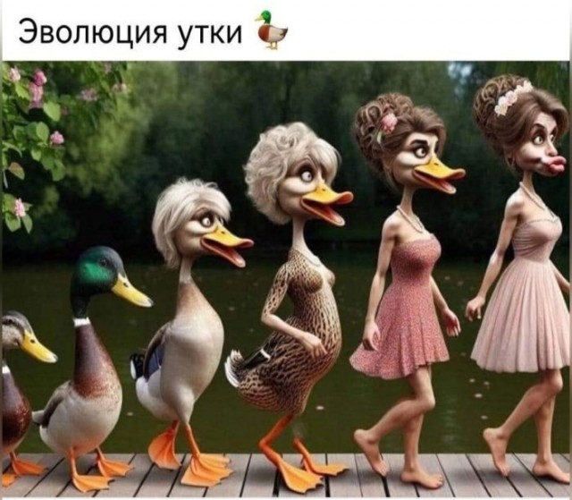 Веселые картинки в пятницу (03.07)