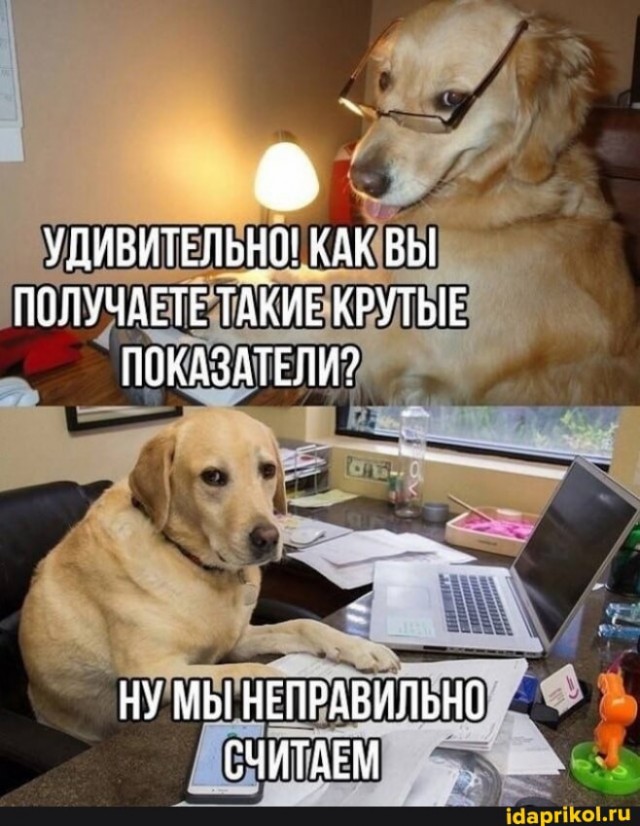 Картинки для деградации 233 (разной степени свежести)