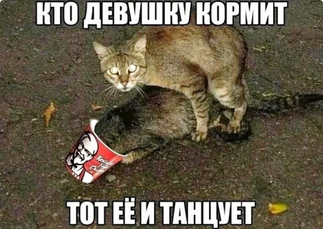 Добрый пранк