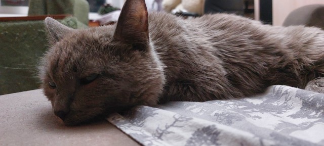 18 лет!