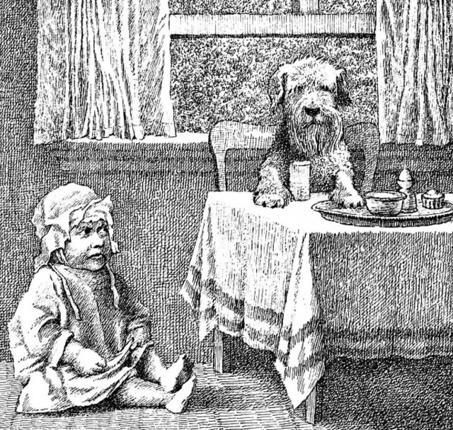 Иллюстрации к книге