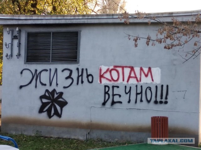 АУЕ - секта понятий, захватившая СНГ