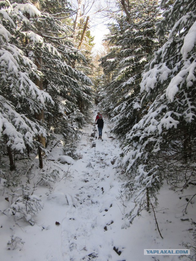 Деревенская Америка
