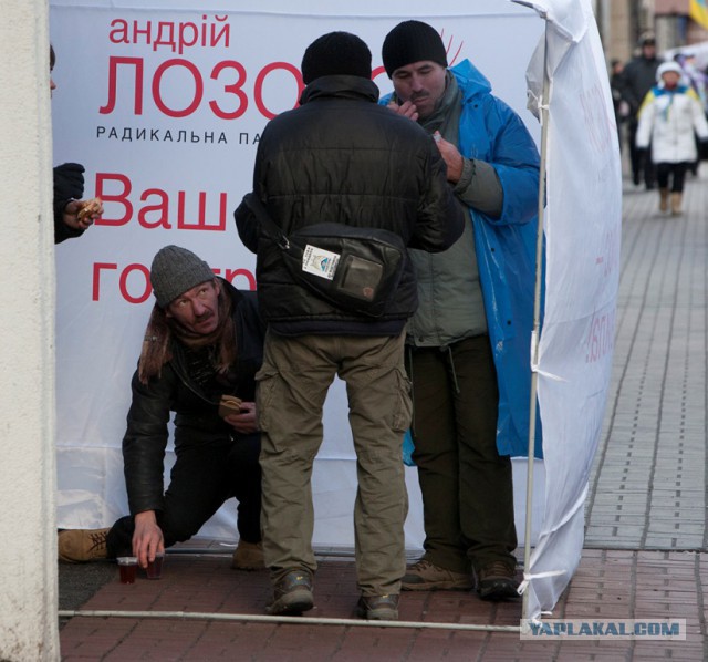 Это они выскакали десятки тысяч трупов