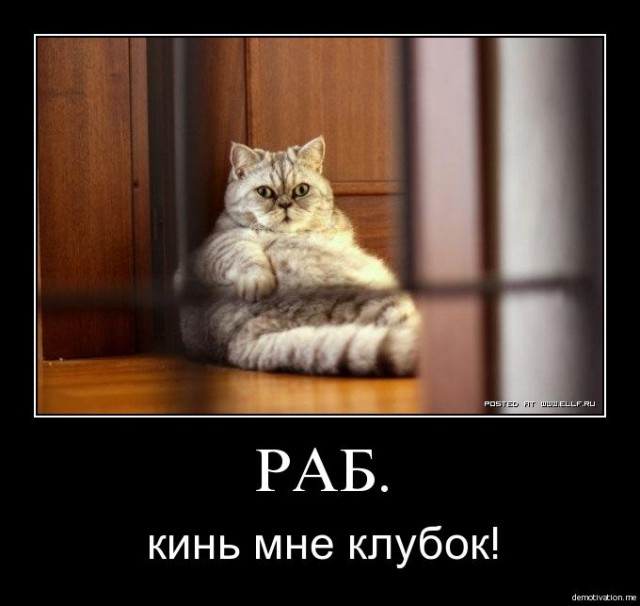Злые шутки или минутка сарказма на ЯП-е, 16+