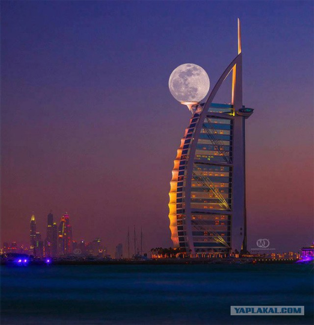 Забавные и интересные фотографии, сделанные в нужный момент