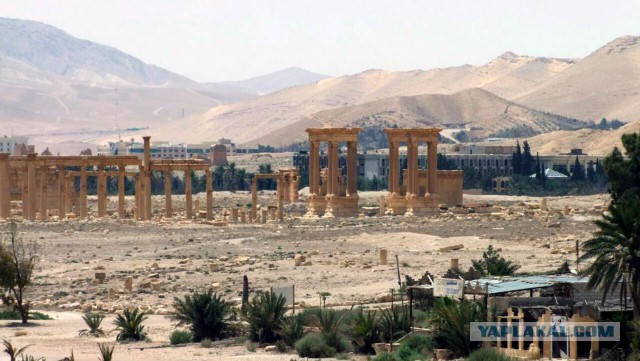 Сирийская армия взяла под контроль историческую часть Пальмиры