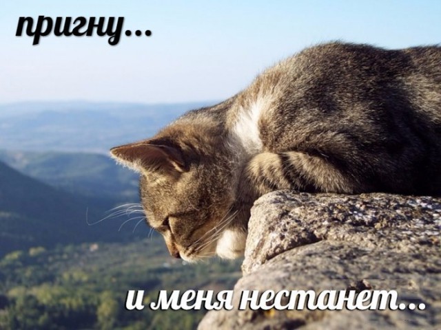 Картинки из мусорной корзинки