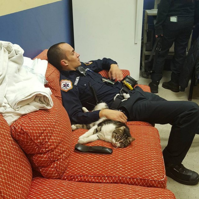 Нью-Йоркские пожарные приютили забежавшего на их станцию котенка