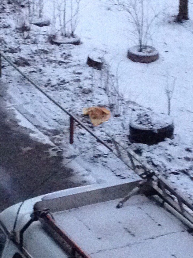 В Великом Новгороде хозяин отрезал голову гостю во время новогоднего банкета и выбросил ее на улицу