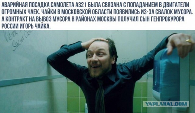 Принципиальные сотрудницы авиакомпании "Победа" устроили настоящую пытку одной из своих пассажирок