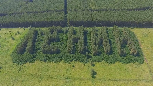 Интересные и редкие ретро-фотографии 30.08.20