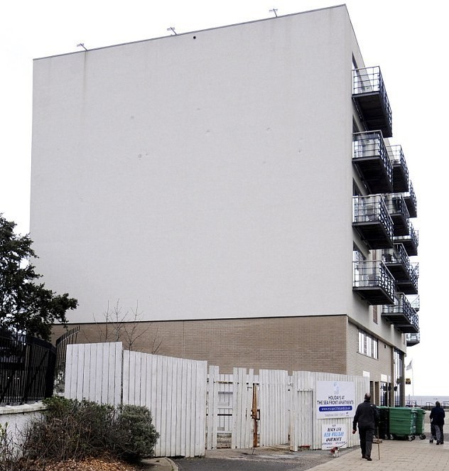 Дом, в который врезаются гуси