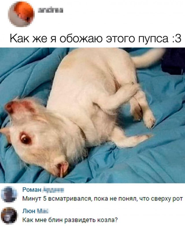 Весёлый полтишок 2.03