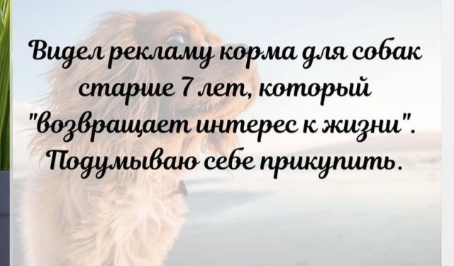 Картинки и мемы, всем прекрасных выходных
