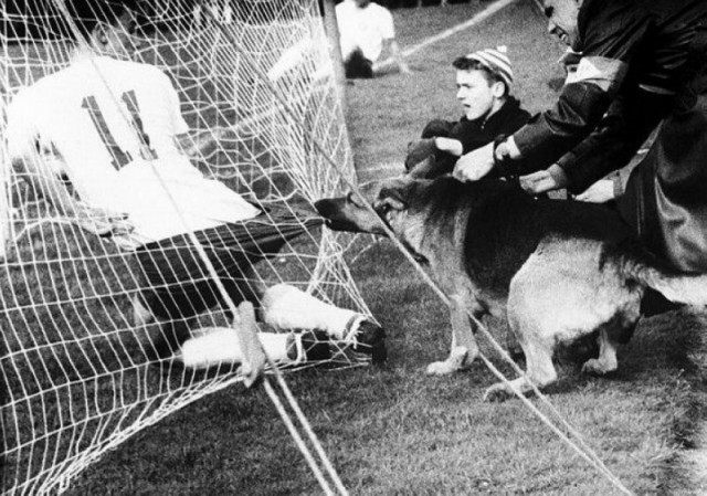 Просто старые фото - XXVIII. Чёрно-белая история