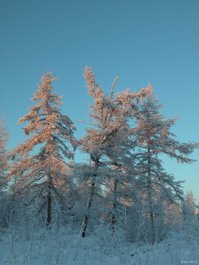 Дороги крайнего севера