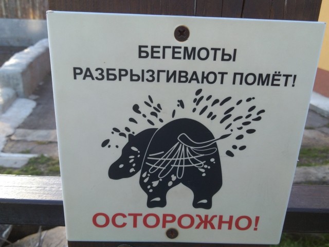 Сам нас#ал, сам покатал