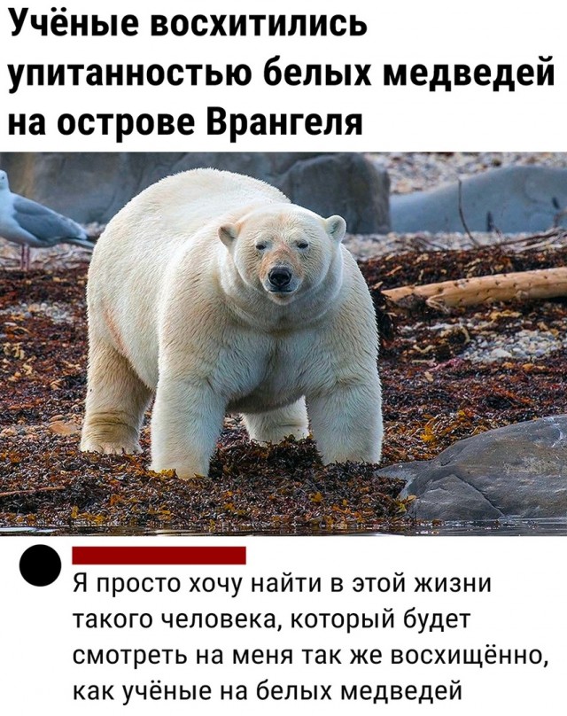 Так себе картинки 10.04.22