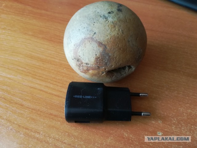 Вдогонку яйцу дракона