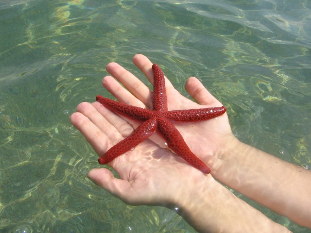 Отдых в Черногории (сентябрь 2012)