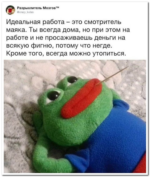 Забавные комментарии из социальных сетей (25.10.22)