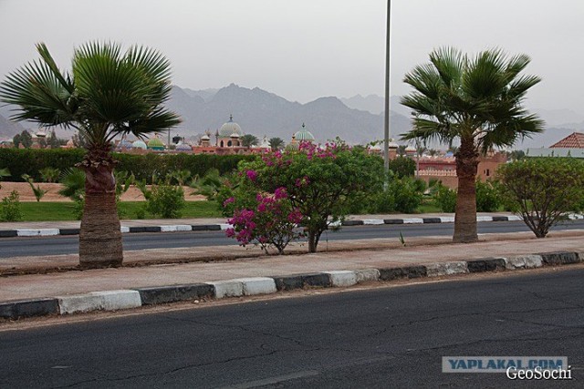 Синайские приключения. Шарм-эш-Шейх и окресности