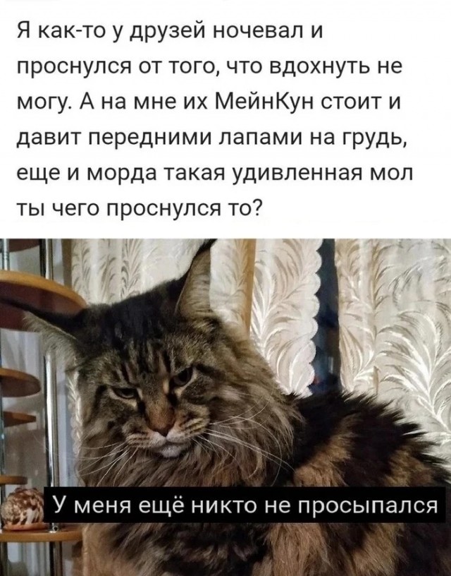 Немного картинок и прочей хреноты Vol. 22